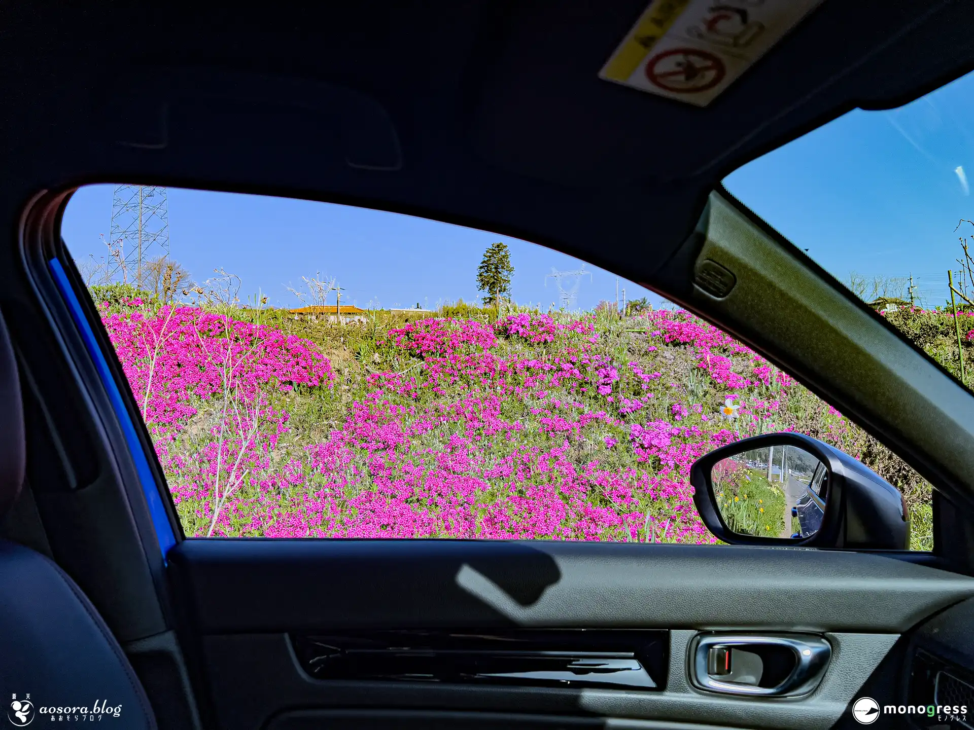 車の窓越しに見える芝桜