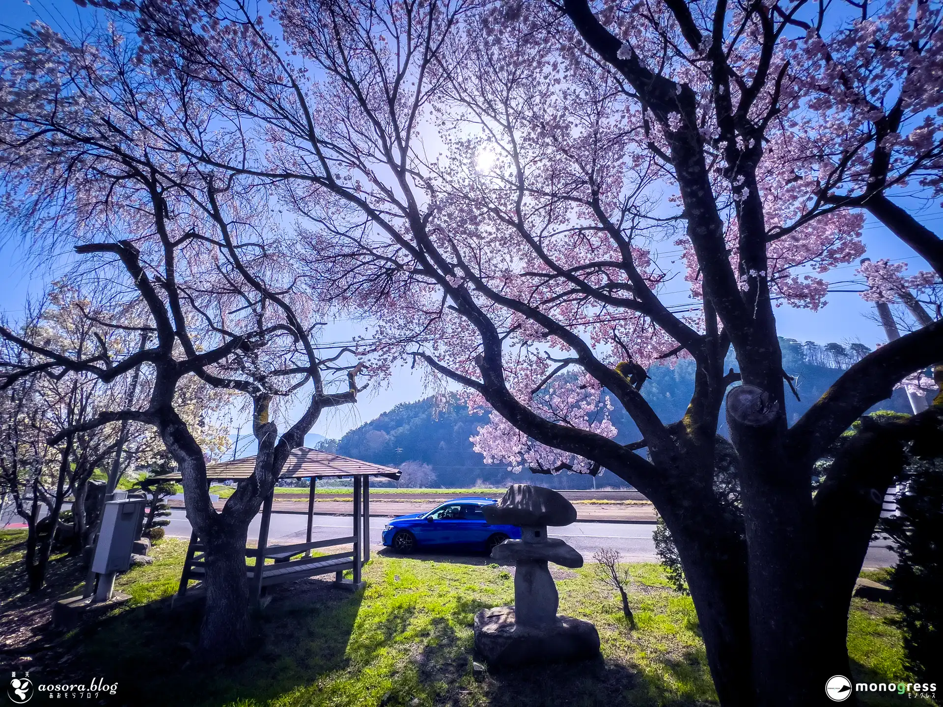 愛車 CIVIC e:HEV と桜の写真