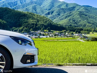 Peugeot 308SW in 伊那 田んぼとのコラボ