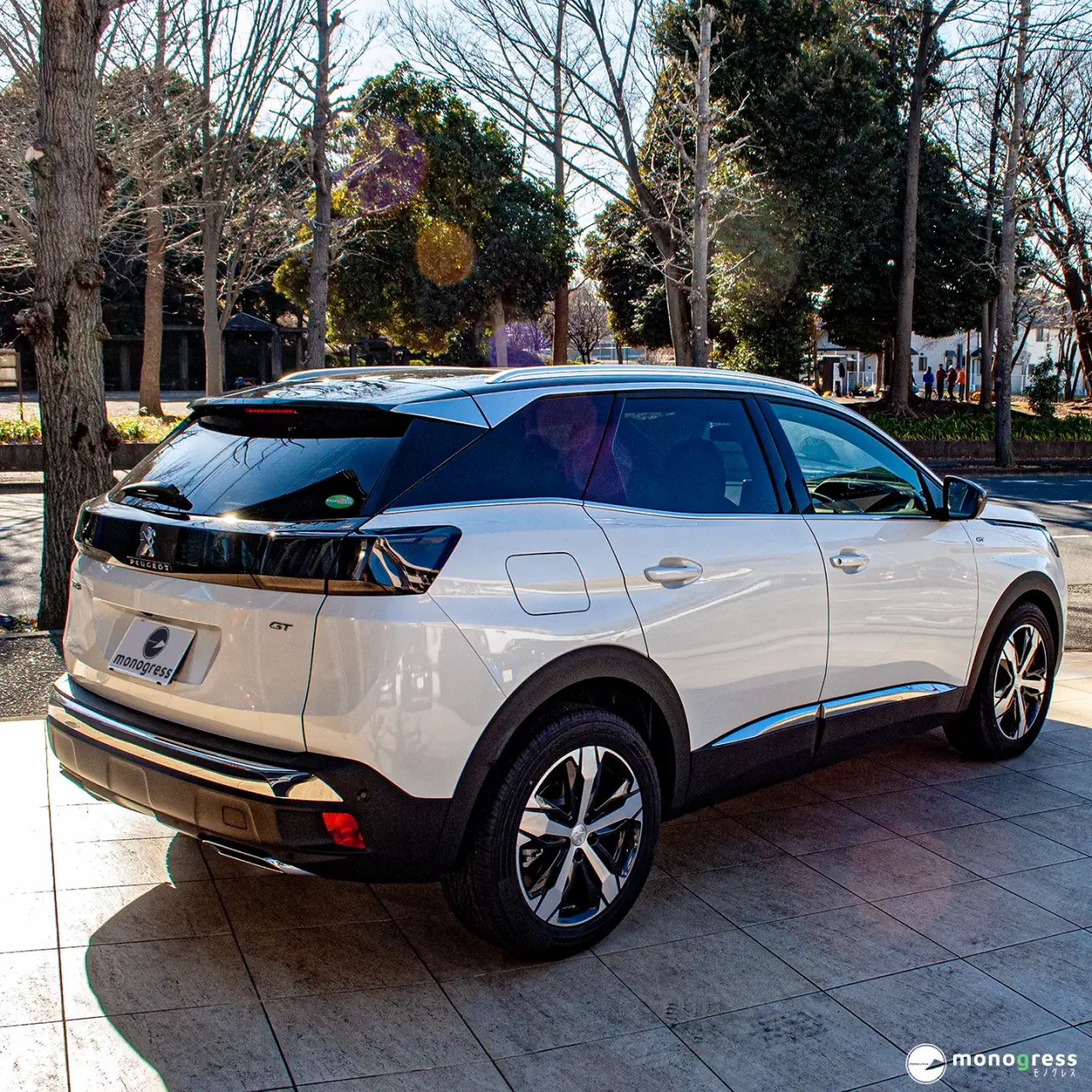 Peugeot3008のリアからの格好良い写真