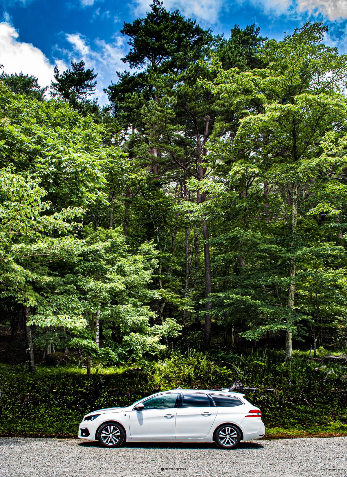 Peugeot 308SW 林の前
