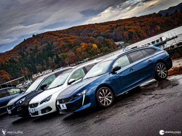 Peugeot 508 and 308 and 3008
